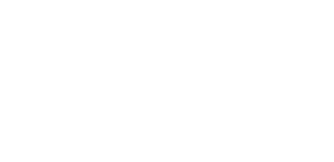 Logo Sewosy – contrôle d'accès et portes sécurisées